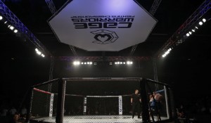 Rematch Between Yair Rodriguez and Brian Ortega