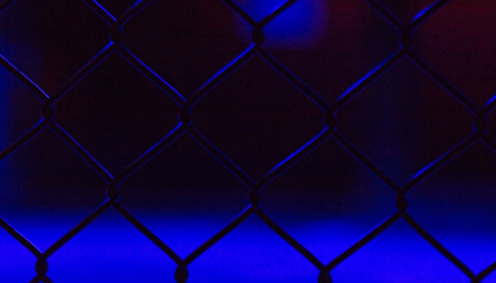 A New Contender Emerges in UFC Middleweight Division: Caio Borralho